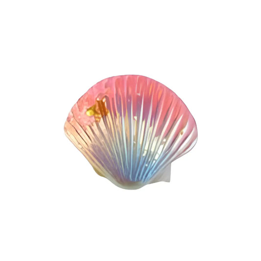 COQUILLAGES