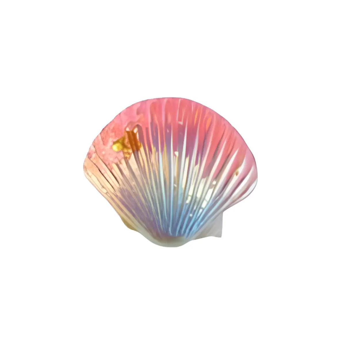 COQUILLAGES